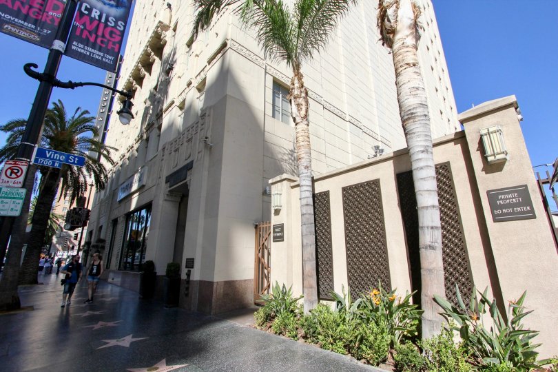 The plants that are seen around The Lofts at Hollywood and Vine