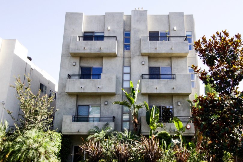 The Mark is a beautifully constructed condo building in Hollywood