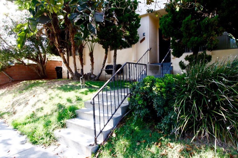 The stairs to the entrance of 317 W Hyde Park Blvd