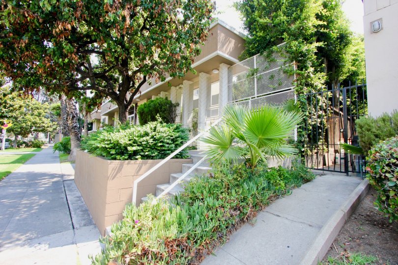 The Harvard Townhouses are in a lovely and safe are in koreatown with ample green space