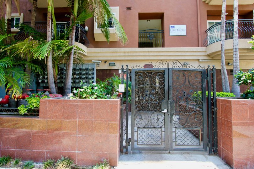 A sunny day at the French-style home in La Maison Ardmore with palm trees and an intricate gate