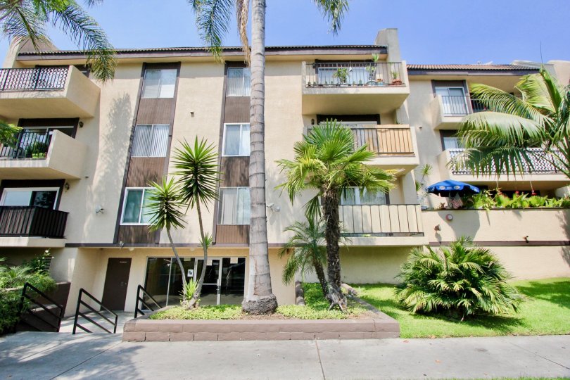 Multi story Manhattan Place building with palm trees in front stairs going down to entrance