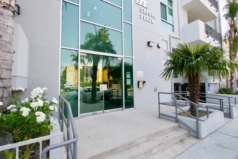 Elegant building with huge glass doors and colorful palm trees at the entrance