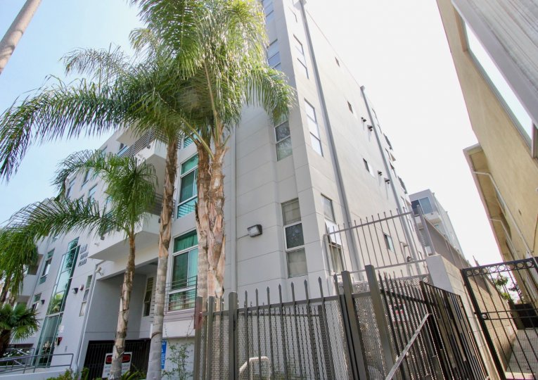 Palm trees and sunshine in front of the Oxford Plaza in Koreatown California