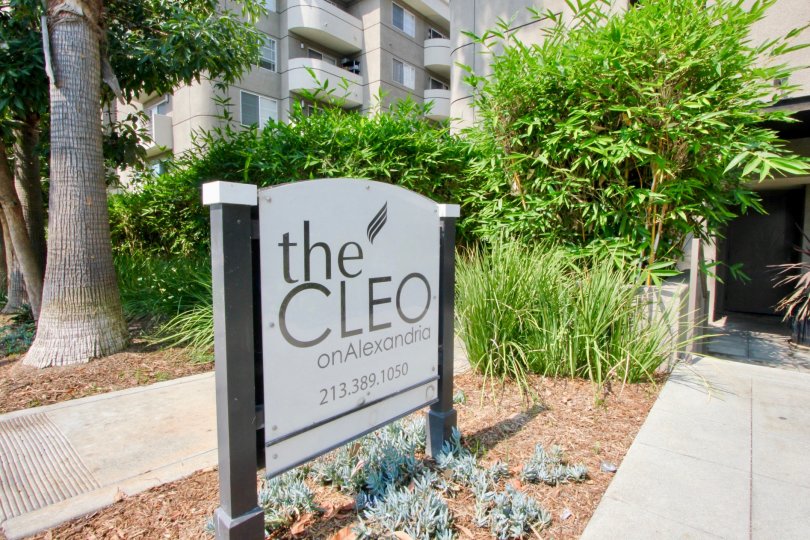 A Sunny day in a well maintained apartment in The Cleo