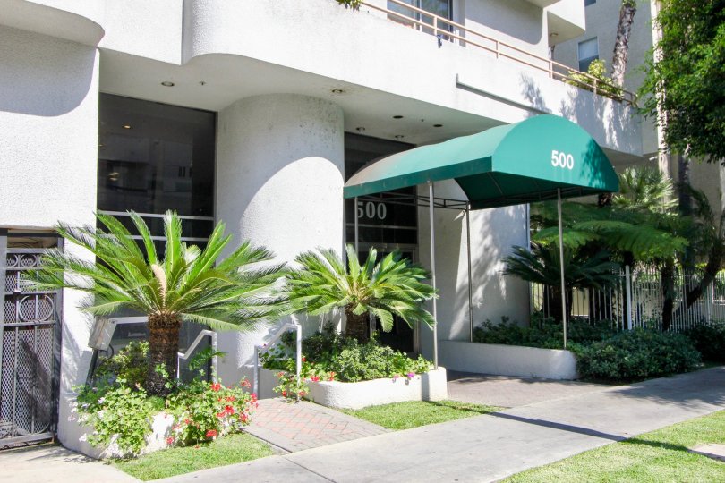 A business entrance in the Wellington Grande community with palms and flowers.