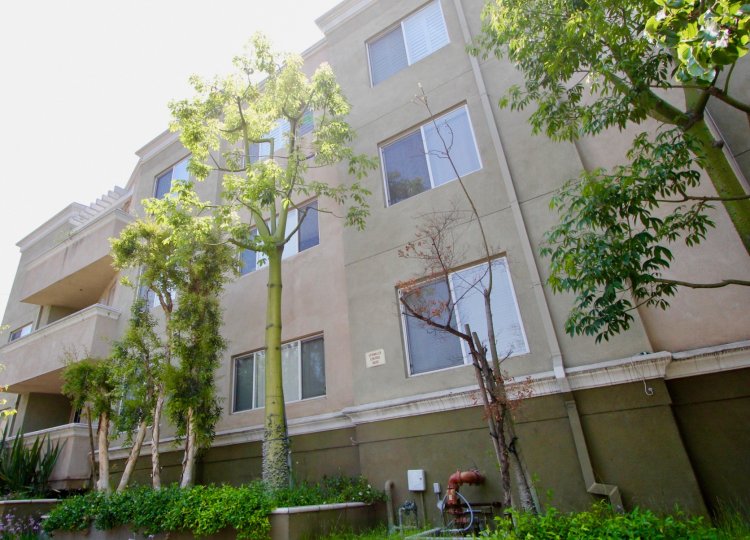 Tree lined Wilton Plaza apartments in Koreatown, California.
