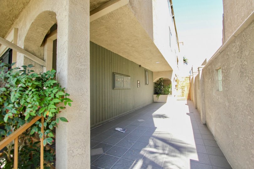 The walkway in 3811 E Livingston Dr