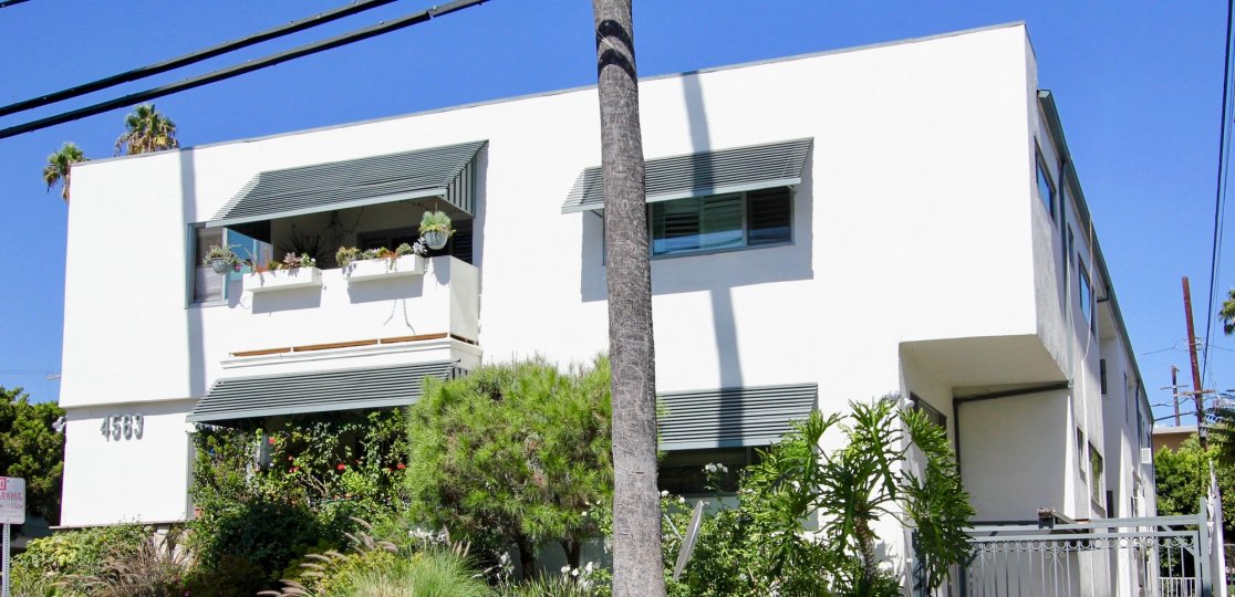 The view of Finley Capri in Los Feliz, California
