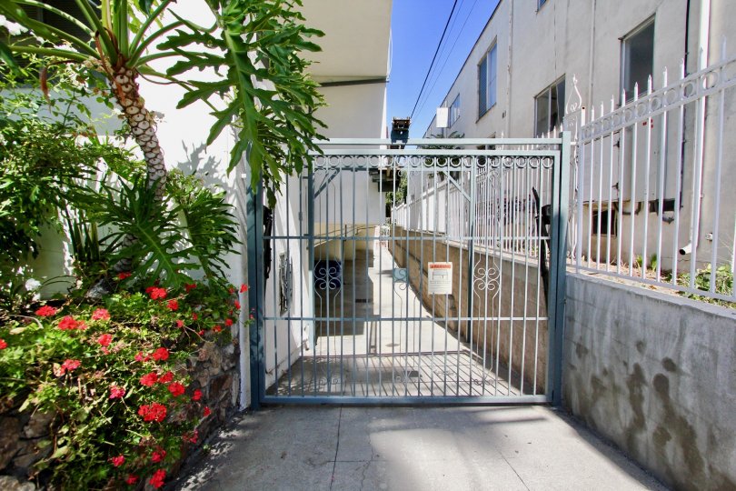 The driveway beside Finley Capri