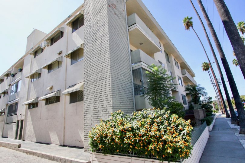 The view of Los Feliz Imperial in Los Feliz, California