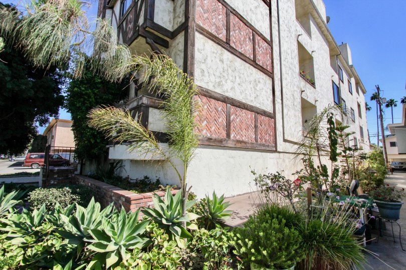 The landscaping around the Venice Chateau in Mar Vista, California