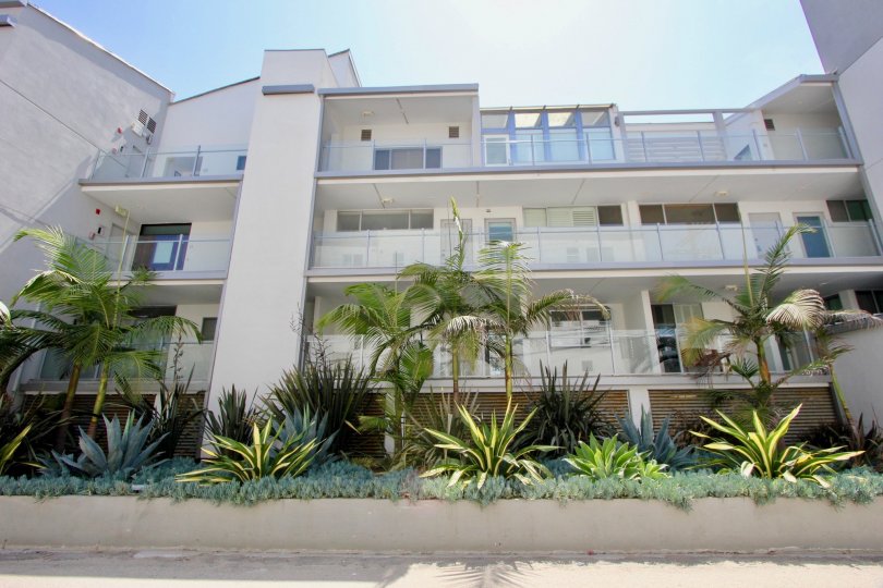 Sunny exterior view of three-story 4 Jib in Marina del Rey, California; there are trees, bushes, balconies
