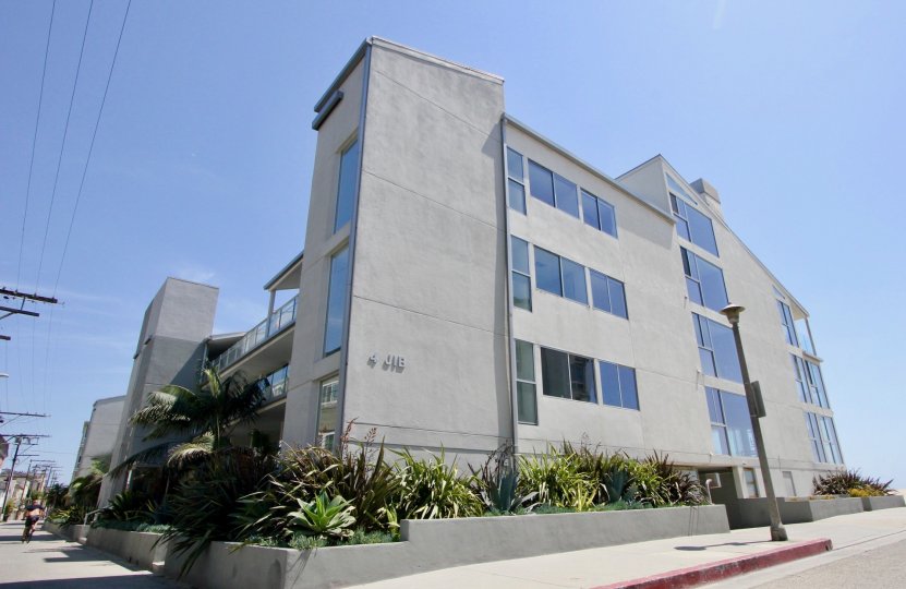A clear view of the landscaping at the 4 Jib office building in Marina Del Rey, CA.