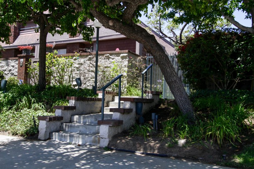 The stairs to the entrance in Villa Vallarata