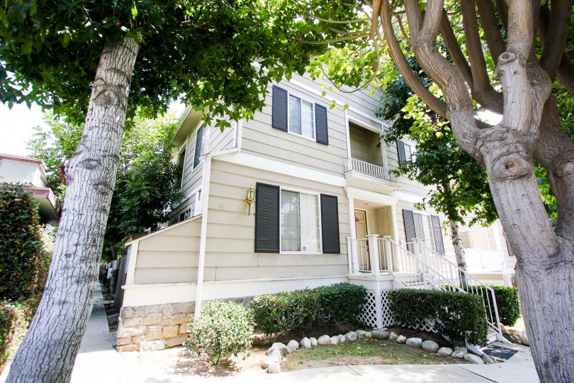 The hedges around 154 N Meridith Ave