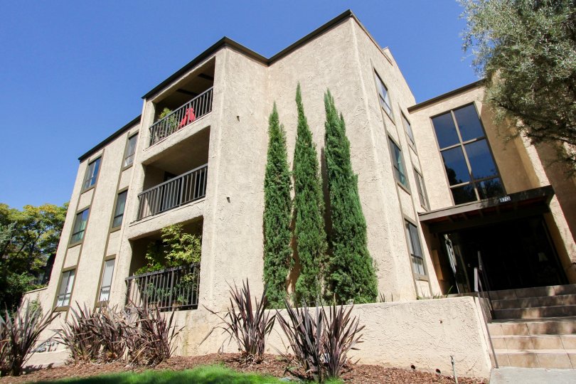 The plants around the building at 170 N Grand Ave in Pasadena, California