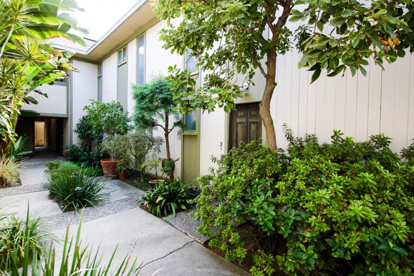 The sidewalk through 330 S Oakland Ave in Pasadena, California