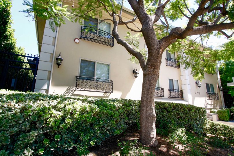 The hedges around 420 S Oak Knoll Ave in Pasadena, California