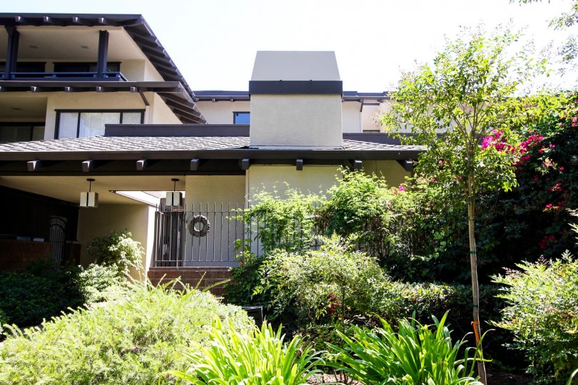 The greenery seen around the Ardmore House
