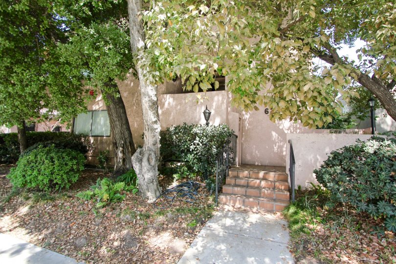 The sidewalk leading up to Casa Torre