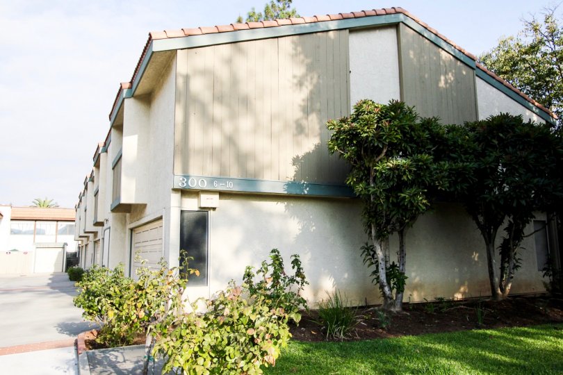The landscaping around Mentor Palms in Pasadena, California