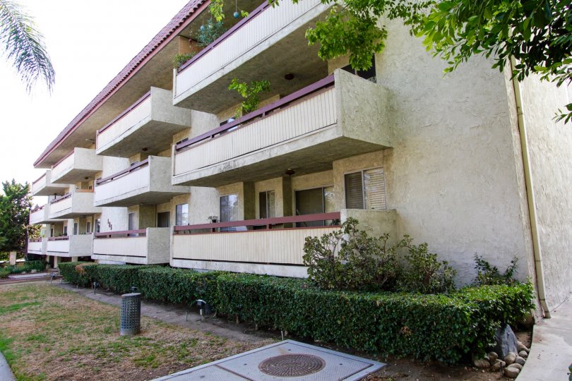The hedges around the Sierra Mandre Manor in Pasadena, California