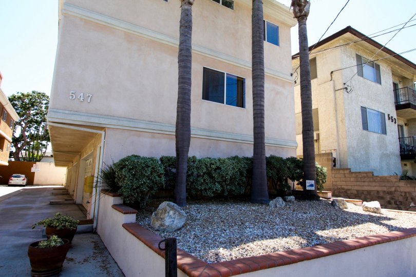 The landscaping around 547 W 23rd St in San Pedro California