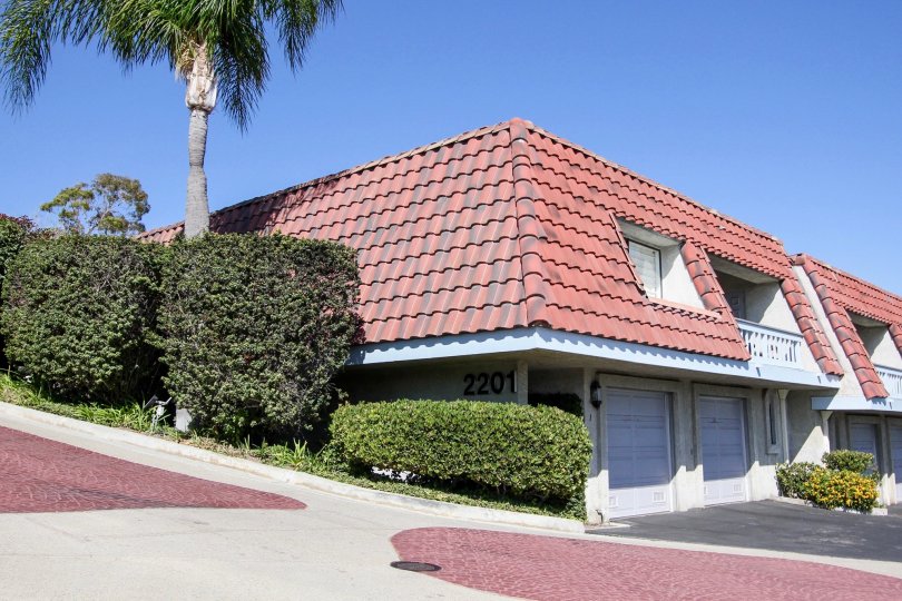 The hedges around South Shores Racquet Club