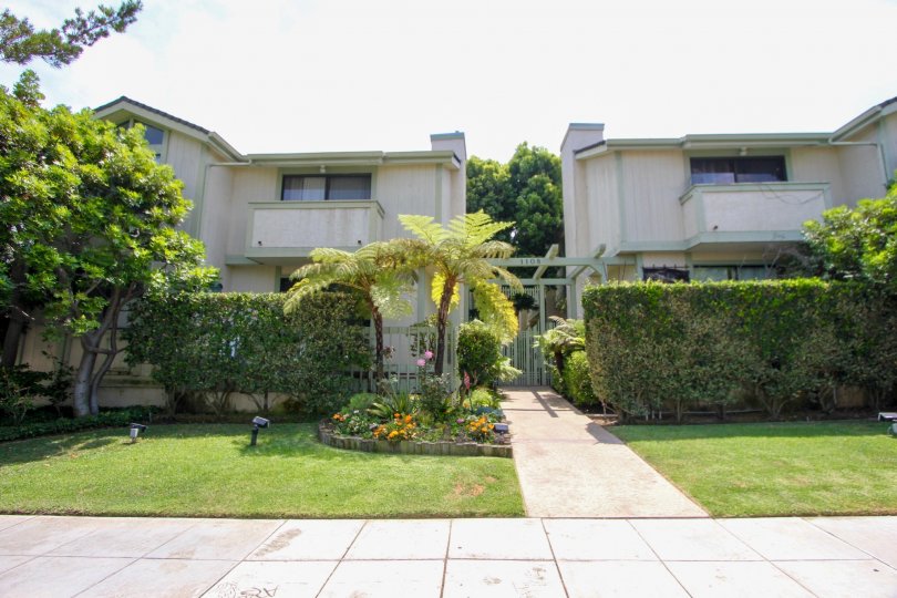 Entrace to townhouses with beautiful shurbs, flowers, and palm trees. Located in Santa Monica.