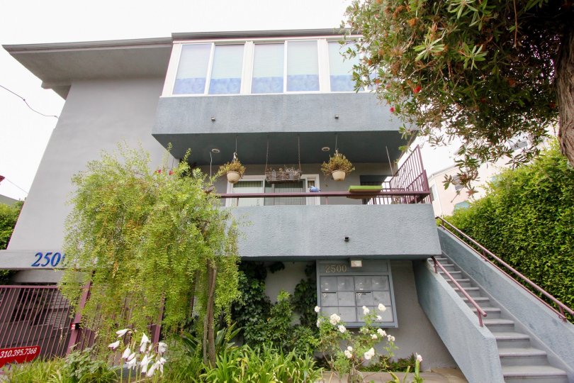 The modern desgin and sleek Landscaping make this property beautiful.