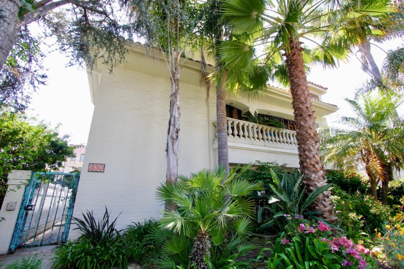 green and beautiful neighborhood of 828 5th St, Santa Monica, california