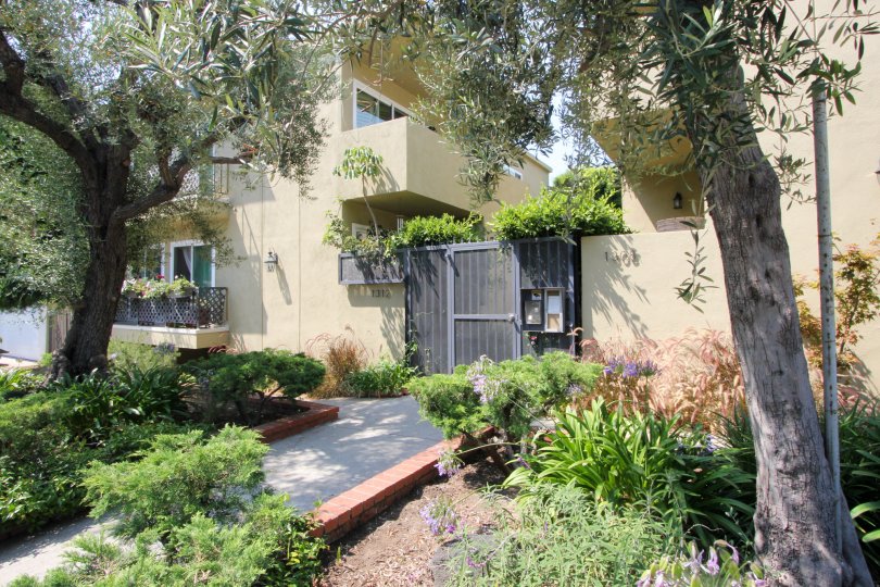 Green spaces of Berkeley apartments in Santa Monica