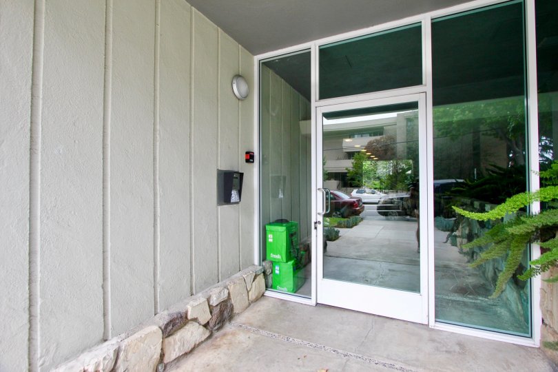 A glass front door in the Idaho Arms community with a green plant