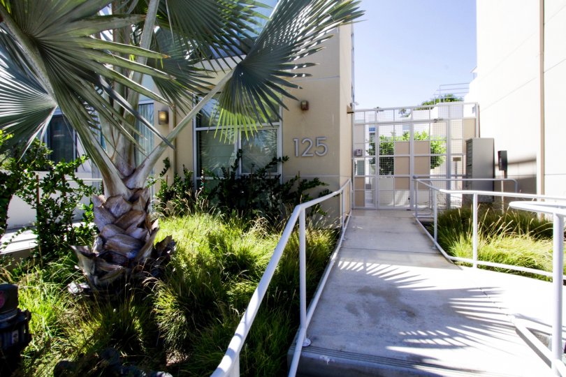 The landscaping around Neilson Way Townhomes in Santa Monica