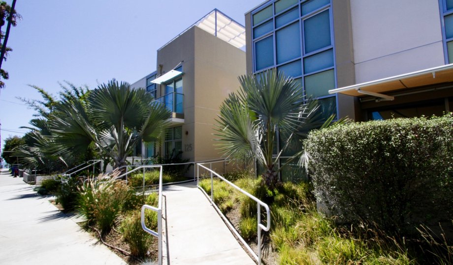 The scenery around Neilson Way Townhomes located in Santa Monica