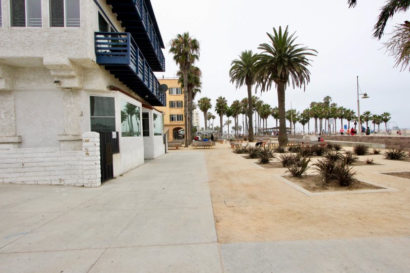 A beach facing house with palm trees and bushes and lot of space to walk and benches to sit over the walkway.