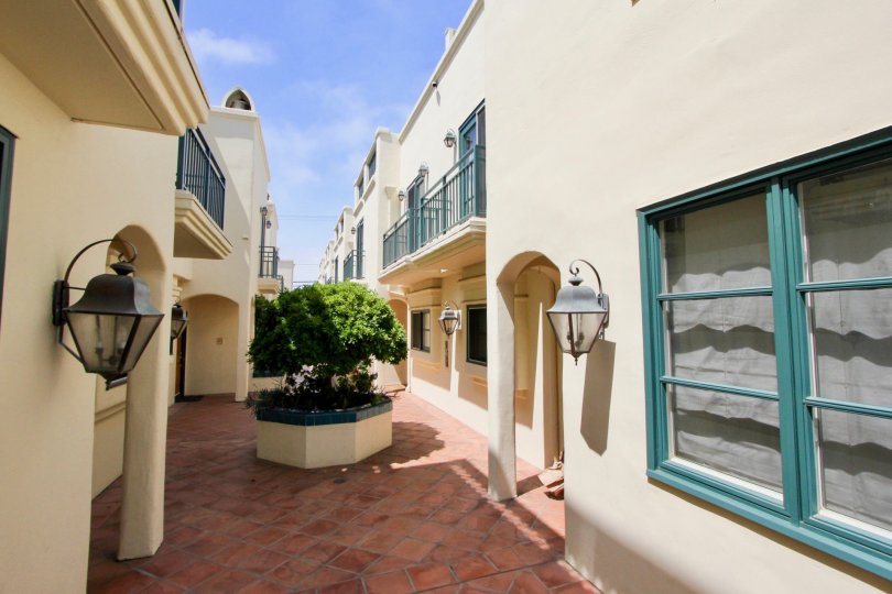 A sunny day at the front part of the Princeton Court's community in Santa Monica, CA