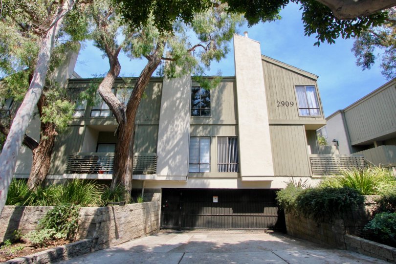 Modern Townhomes with patios, lots of windows, beautiful setting in Sunny Santa Monica, CA