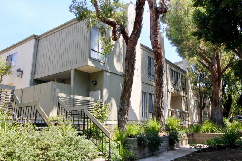 A sunny day at the front part of the Santa Monica Townhomes' community in Santa Monica, CA