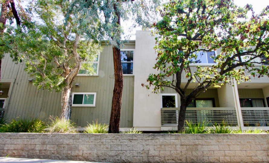 The Santa Monica Townhomes with large trees around and closed glass windows