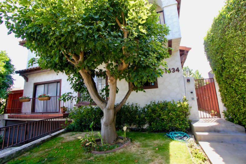 Santa Monica Villas looking delightful view with the tree