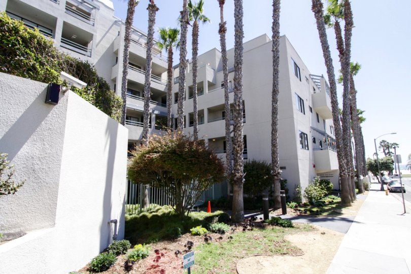 The landscaping at Sea Colony III in Santa Monica