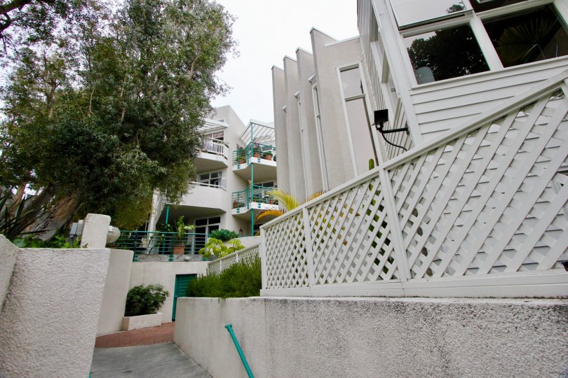 A white building in the Sea View Collection community with a large green tree and green railings