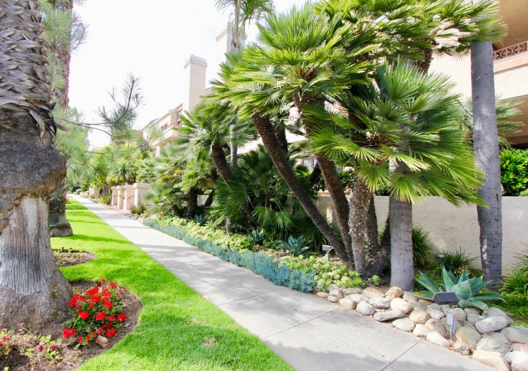 A beautiful walkway of Wilshire IX, Santa Monica, California