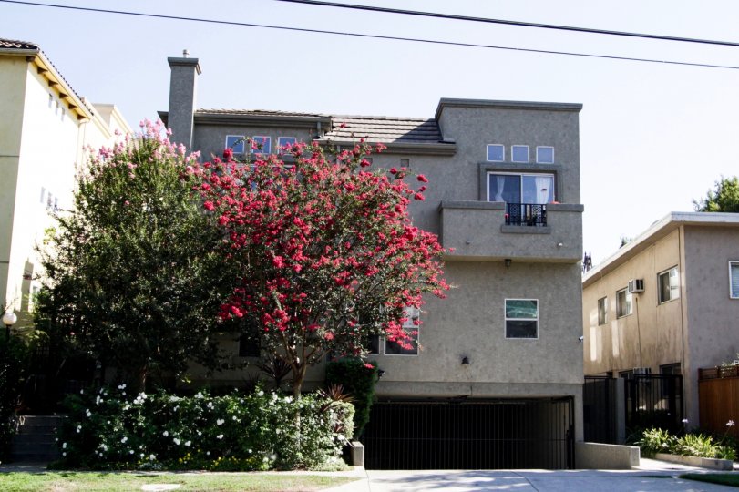 The landscaping seen around 13250 Moorpark St