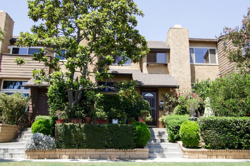 The landscaping at 14313 Hartsook St in Sherman Oaks