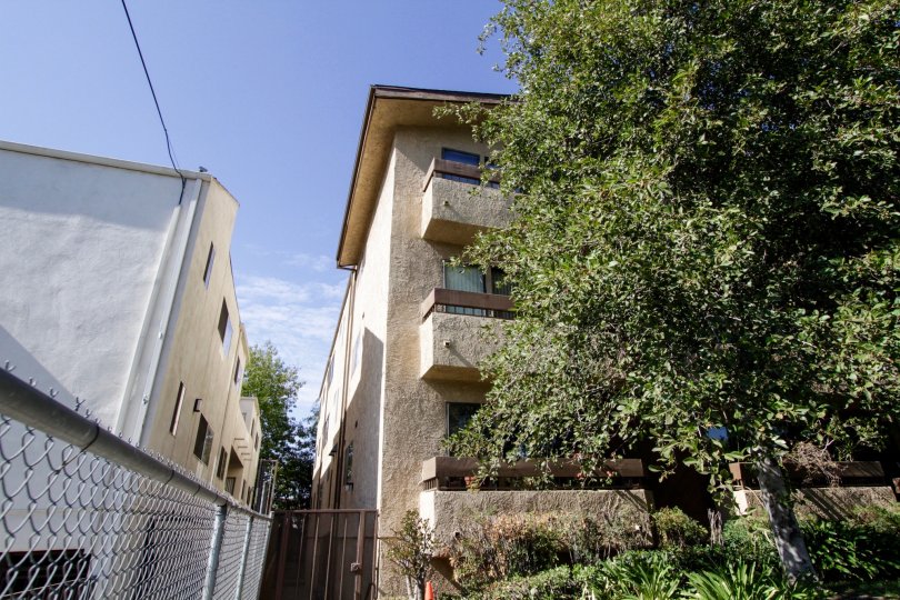 The landscaping seen around 14947 Burbank St in Sherman Oaks
