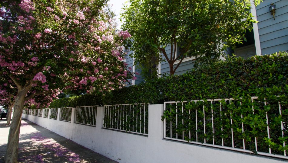 Burbank Townhomes Condos, Lofts & Townhomes For Sale | Burbank Townhomes Real Estate | Burbank ...