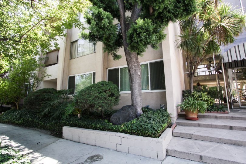 The landscaping around the Chandler House in Sherman Oaks